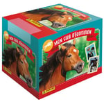 Panini Chevaux Mon Club D'EQUITATION Boîte de 36 Pochettes, 004899BOX36F