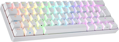 N60 Nova Clavier Mécanique de Jeu 60% | Hot Swap Gaming Keyboard | 62 Touches Programmables | RGB LED | Mac, PC Windows | QWERTZ ISO DE (Blanc, Kailh Box Jade)