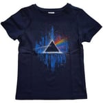 T-shirt enfant Pink Floyd  Dark Side Of The Moon