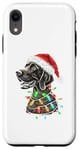 Coque pour iPhone XR Chapeau de Père Noël allemand à poil court Lumières de Noël Chien Maman Papa