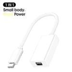 1x Thunderbolt 3 till Thunderbolt 2 Adapter Typ C-kabel Usb för Macbook Air Pro Hög kvalitet