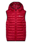 Vest Red Champion