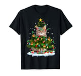 Xmas Lighting Santa Maine Coon Cat Christmas Tree T-Shirt