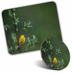 Mouse Mat & Coaster Set - Little Yellow Bird Tree Rain Nature  #45583