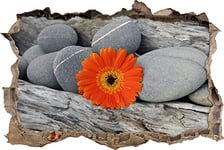 pixxp Rint 3D WD s2074 _ 92 x 62 Orange Gerbera Entre Bois et Pierres Zen percée 3D Sticker Mural Mural en Vinyle, Multicolore, 92 x 62 x 0,02 cm