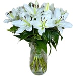 Homeland Florists White Scented Oriental Lily Fresh Flower Bouquet, Luxury Large Gift Wrapped Lilies with Handwritten Gift Card for Birthday or Anniversary