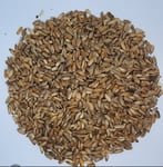 WILD HARVESTED 100g Milk Thistle Seed Silybum marianum🌿 loose dried seed tea☕💊