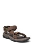 Terra Fi Lite Brown Teva