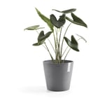 Ecopots - Pot Rond Amsterdam 40 Gris + réservoir d'eau - ø 40 x h. 35 cm - 28 l