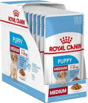 Royal Canin - Karma SHN medium puppy - koiranruoka. Koko : 10 x 140 g.