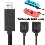 Fashion 2 in 1 Charging Cable for Nintendo Switch Joycon