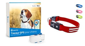 Tractive - GPS pour Chien + Collier LED. Localisation en Direct, portée illimitée (Rouge, L)