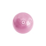 STOTT PILATES Toning Ball (2-Pound Pink)