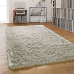 Paco Home - Tapis Shaggy Tapis Salon Poil Long Pastel Monochrome Doux Moelleux Poils Longs 140x200 cm, Gris