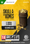 Skull and Bones 1100 Guld