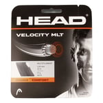 HEAD Velocity MLT Cordage En Garniture 12m - Noir