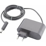 Chargeur adapté pour Dyson V6 V7 V8 DC58 DC59 DC61 DC62 SV03 SV04 SV05 SV06 SV07 ac adaptateur pour aspirateur