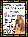 Shawprint Bloodhound Dog Fridge Magnet 100mm x 75mm HOME IS WHERE THE DOG HAIR STICKS TO EVERYTHING BUT THE DOG Novelty Gift