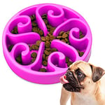 Edipets, Gamelle Anti Glouton Chat ou Chien, Plateau Interactif pour éviter l'Anxiété, pour Petits Animaux de Compagnie, Moyens et Grands (Violet)