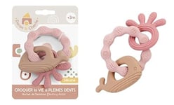 DORON & CHARLIE - Anneau de Dentition - Accessoire de Puériculture - 056344 - Rose - Silicone - Animaux Marins - Jouet Bébé - 1er Age - 13 cm x 8 cm - À Partir de 3 mois