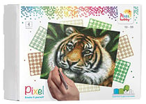 Pixel P090028 Emballage Cadeau mosaïque Tigre pour Enfants, Image d'environ 20,3 x 25,4 cm, système d'assemblage Simple avec des tesselles en bioplastique, sans Repassage ni Collage