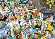 Ravensburger Traveller's Animal Journal Puzzle 1000 pièces pour Adultes et Enfants à partir de 12 Ans, 17322