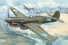 Trumpeter 1/32 P-40E War Hawk