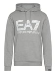 EA7 Sweatshirt Grå