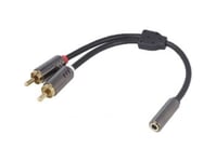 Universal 3.5mm Naaras - 2 x RCA Uros adapteri kaapeli