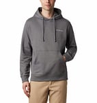 Columbia Viewmont II Sleeve Graphic Hoodie Pull à capuche Homme City Grey, Columbia Grey FR: XL (Taille Fabricant: XL)