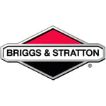 Briggs&stratton - Carburateur Briggs et Stratton - 593034