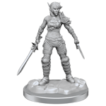 Elf Rogue & Half-Elf Rogue Protege (Wave 19) Dungeons & Dragons Nolzurs Marvelous Unpainted Miniature - Rollespill fra Outland