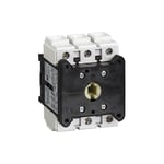 Schneider Electric - Interrupteur-sectionneur Schneider 3P 125A