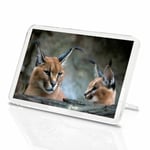 1 x Caracal African Lynx Ears Wild Animal Classic Fridge Magnet Kitchen #3171