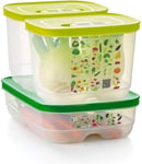 Tupperware FridgeSmart 3pc Starter Set - Includes 2x Small Deep (1.8L) and... 