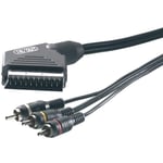 Vivanco 2m Scart Rca Câble Adaptateur Dans / Dehors Peritel Av pour TV PC