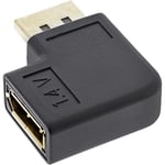 InLine 17199L Adaptateur DisplayPort mâle/Femelle coudé à Gauche