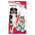 Beaphar, Double - Ended Toothbrush, Dental Care For Dogs & Cats, Targets Hard - to - Reach Areas, Helps Prevent Bad Breath and Combat Plaque, Suitable for all Mouth Sizes, Red, White, 1 Count