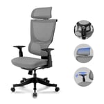 FLEXISPOT Chaise de Bureau Fauteuil Ergonomique Support Dorsal Compact Verrouillage à 120° Rotation à 360° (Gris)