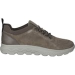 Baskets basses Geox  Sneaker