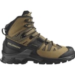 Salomon Quest 4 GTX