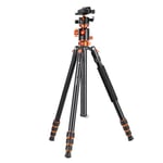 K&F Concept 76 inch Twist lock Camera Tripod,Professional Center Axis Horizontal Tripods with Detachable Monopod,360 Degree Ball Head,Quick Release Plate Compatible with DSLR Cameras T254A6+BH-28L