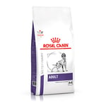 Royal Canin Adult Medium Dog