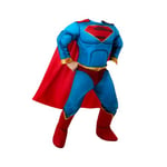 Superman Boys Metallic Costume - 3-4 Years