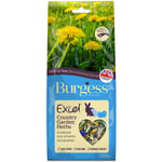 Burgess Excel Country Garden Herbs