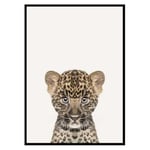 Poster Gallerix Baby Leopard