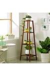 4 tier Antlia Free Form Multi Tiered Plant Stand