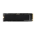 SSD M.2 2280 NVME 256GB pour MacBook Pro et iMac (2013/2015)