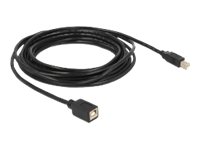 Delock - Usb-Förlängningskabel - Usb Typ B (Hona) Till Usb Typ B (Hane) - Usb 2.0 - 5 M - Svart