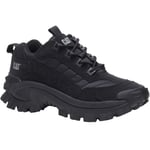 CAT Lifestyle Mens Intruder Nubuck Trainers - 12 UK